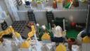 crowns_stronghold_018.jpg