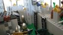 crowns_stronghold_019.jpg