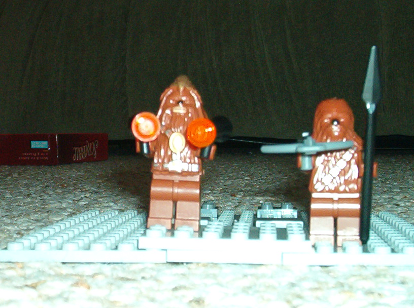 chewbacca_and_1_other_wookiee.jpg