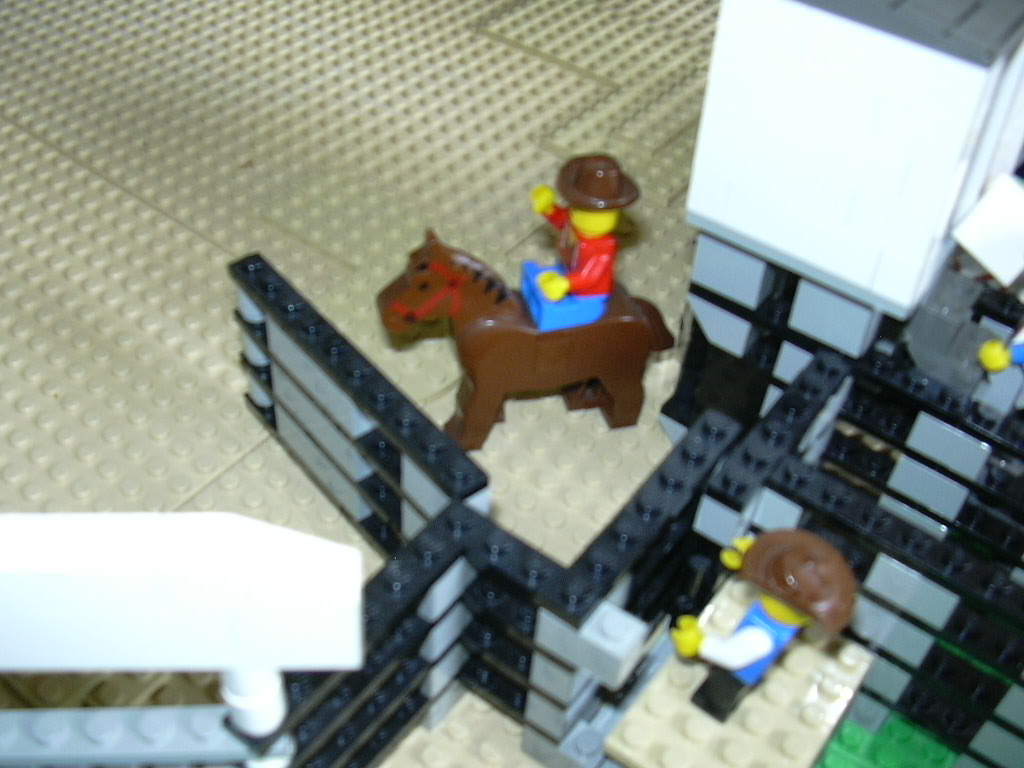 rodeo24.jpg