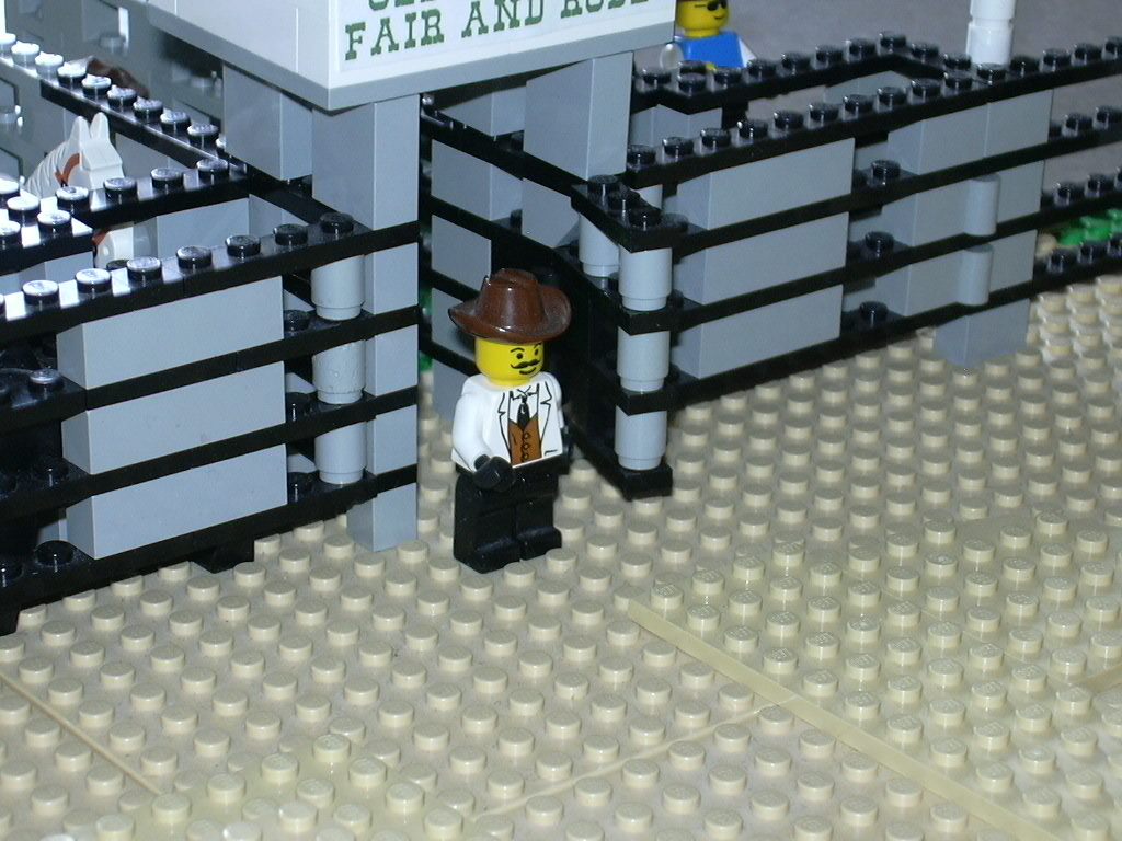 rodeo29.jpg