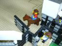 rodeo24.jpg
