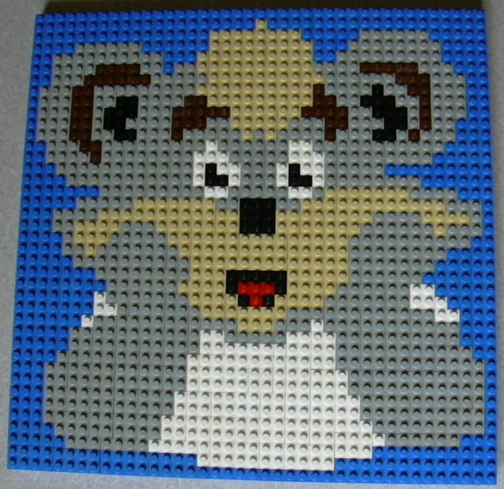 zeddygrid01.jpg