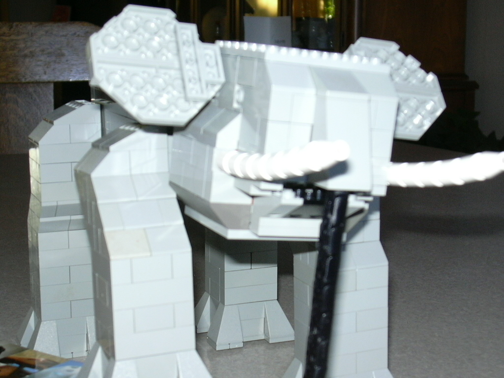 oli05.jpg