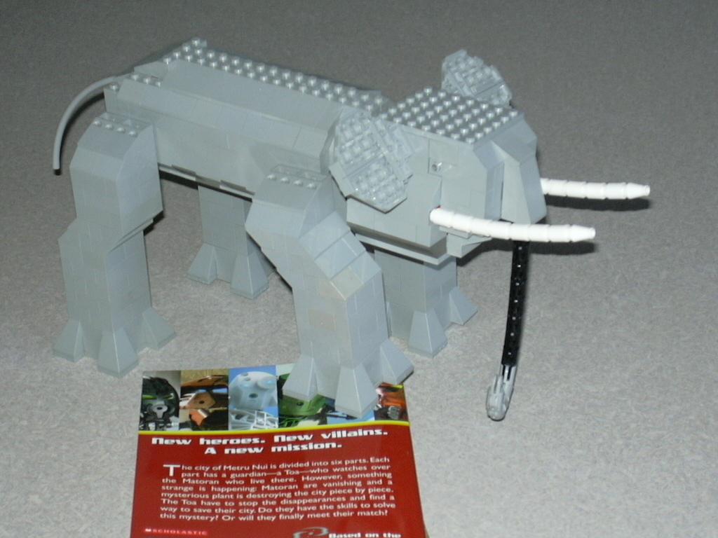 oli07.jpg