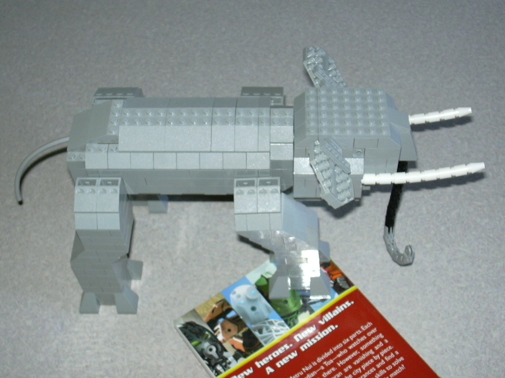 oli08.jpg