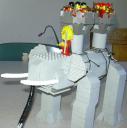 oli04.jpg