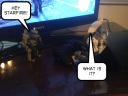 1341278305-picsay.jpg
