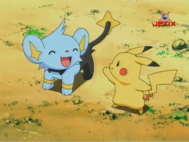 pikachuwithshinx2.jpg