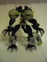 Protodax