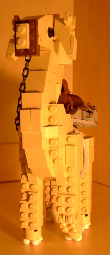 ronto2.jpg