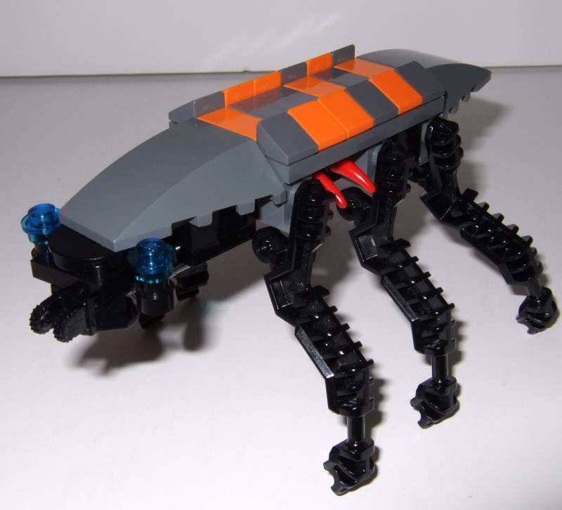insect1.jpg