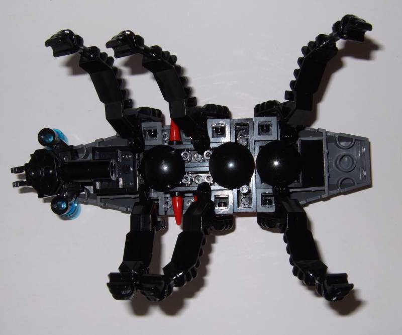 insect3.jpg
