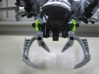 beetle_thumbnail.jpg