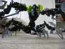 Insectoid