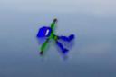 femalethegreenskakdifloatinginthewater.png