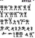 rok.-rayg-2.png