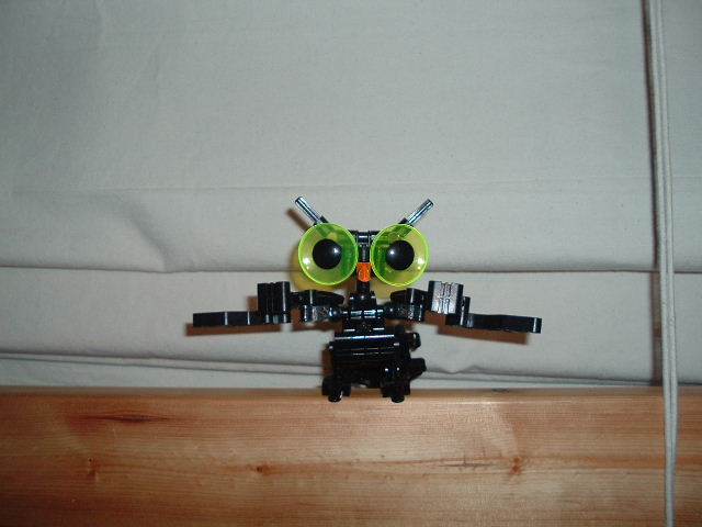 2004_0620owlmoc0005.jpg