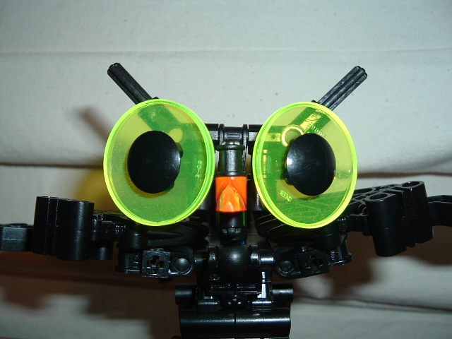 2004_0620owlmoc0008.jpg