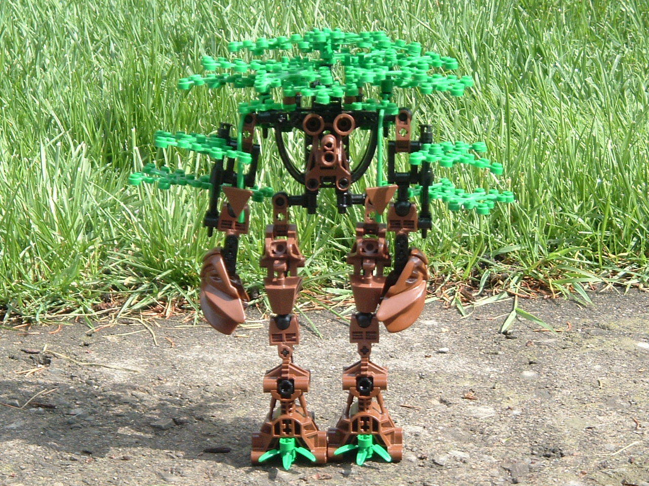 2004_0510treeman0001.jpg