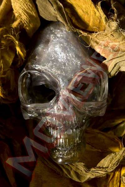 crystal_skull_2.jpg