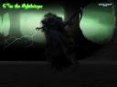 nightbringer.jpg