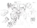 rex1.gif