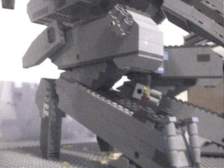 legs.jpg