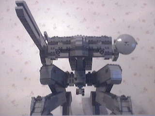 rexfront2.jpg