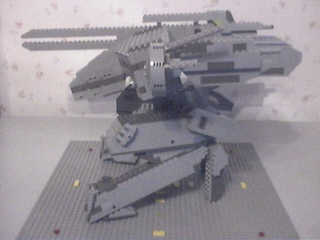 rexside2.jpg