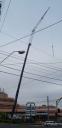 picture_1145.jpg