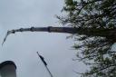 picture_1152.jpg