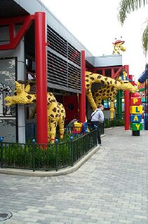 giraffes.jpg