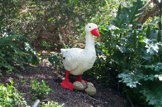 goosey.jpg