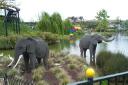 elephants.jpg