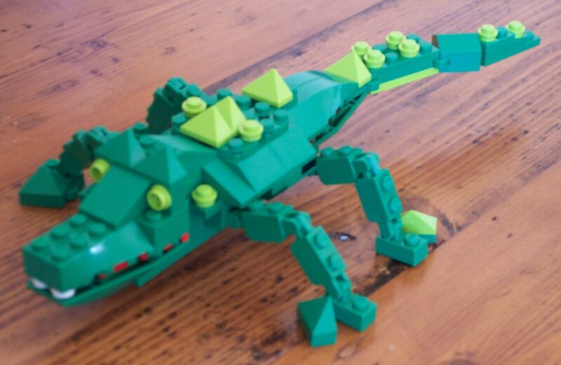 gator1.jpg