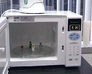 legoinmicrowave.jpg