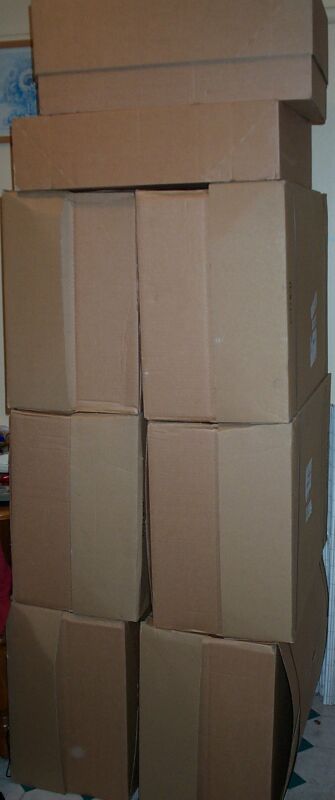 01cartons.jpg