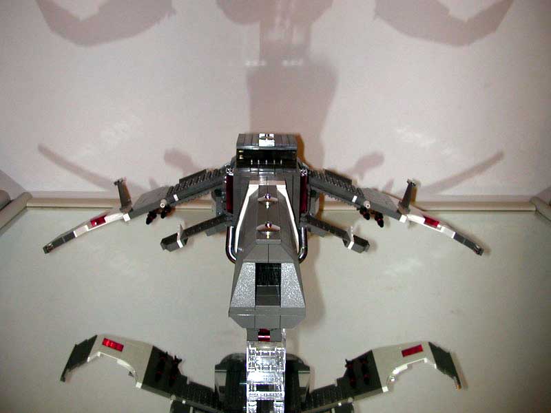 flying_front_view.jpg