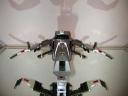 flying_front_view.jpg