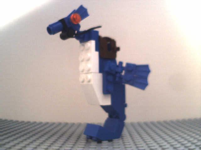 seahorse.jpg