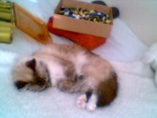 sleepy.jpg