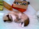 sleepy.jpg