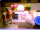 potionshelfs.jpg