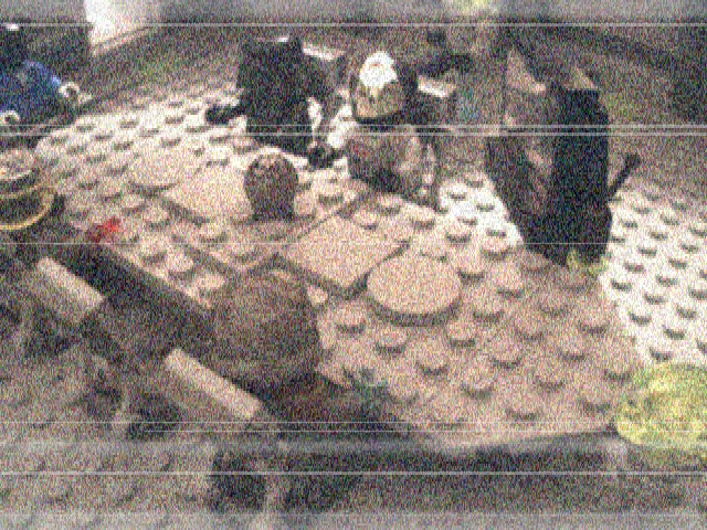 meeting01.jpeg