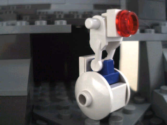 rollyguy01.jpg