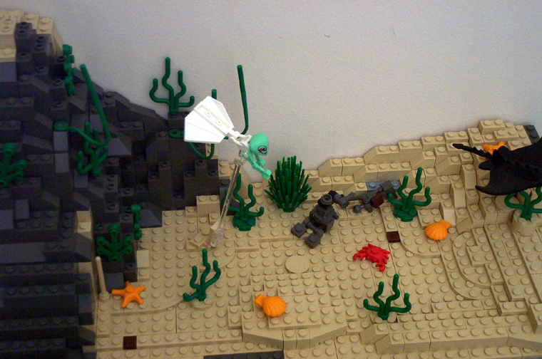 seamonkeydiorama.jpg