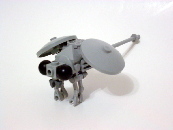 dragonfly3.jpg