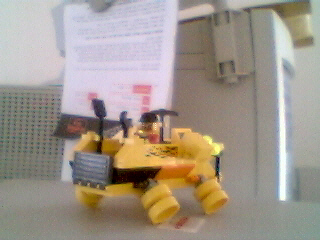 hog01.jpg