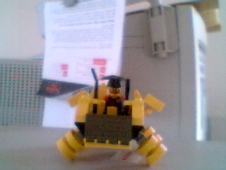 hog02.jpg
